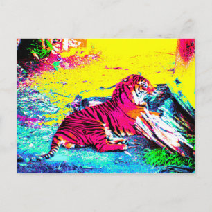 Tiger Bright Vykort
