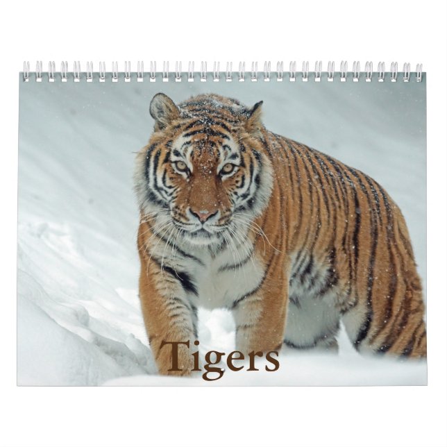 Tiger Calendar Kalender (Omslag)
