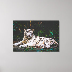 Tiger Canvastryck