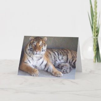 Tiger Card Kort