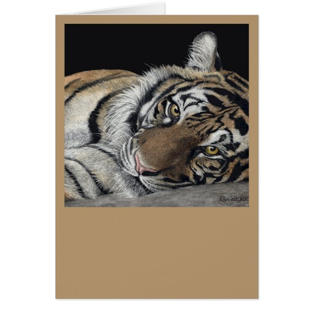 Tiger Card OBS Kort (Framsidan)