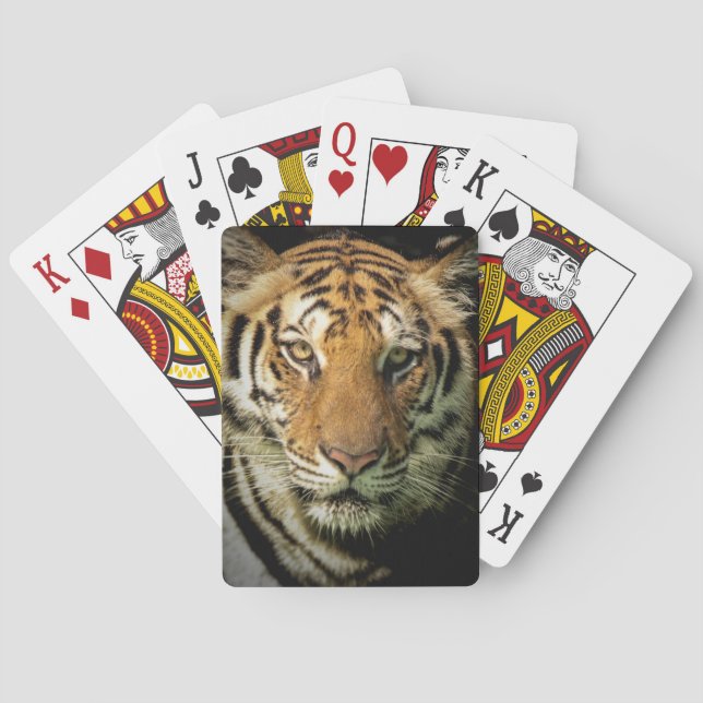 tiger casinokort (Baksidan)