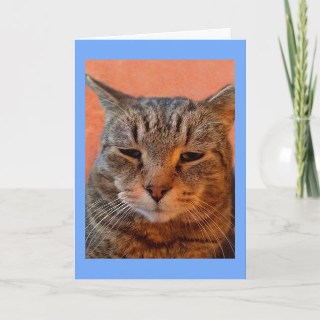 Tiger Cat Miss You Kort (Framsida)