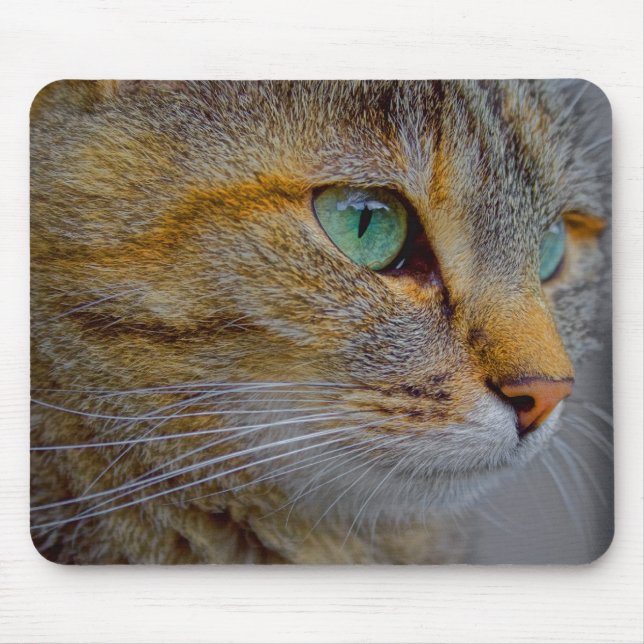 Tiger Cat Porträtt Musmatta (Framsidan)