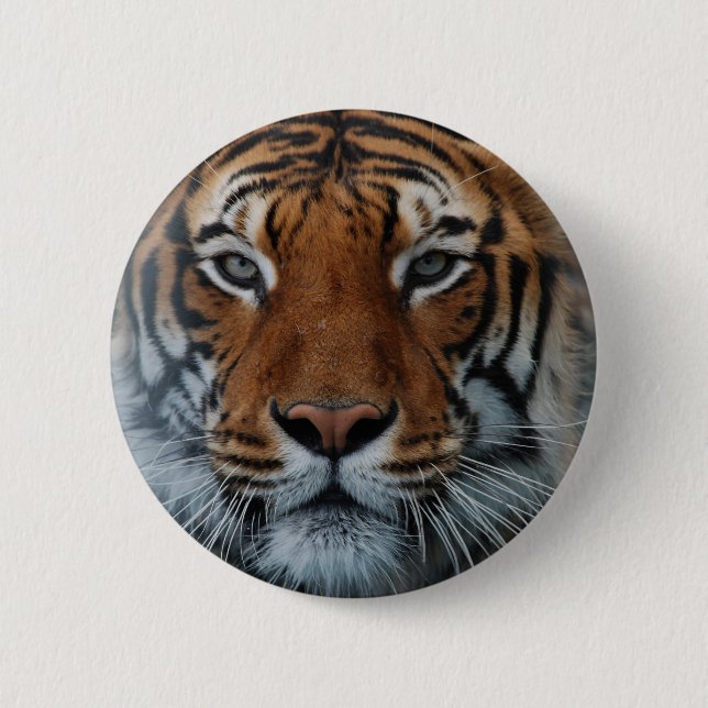 Tiger Cat Rand Jungle Mist Animal Knapp (Framsida)