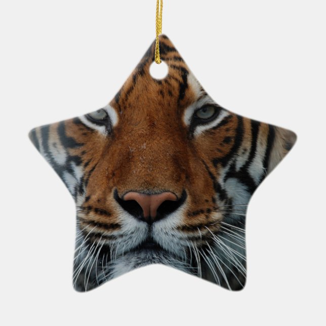 Tiger Cat Ränder Djungel Dimma Djur Julgransprydnad Keramik (Framsidan)
