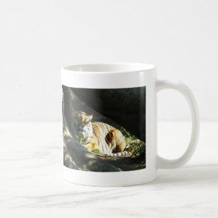 Tiger Catnap Kaffemugg
