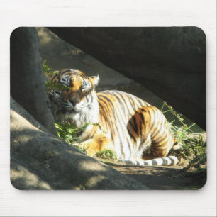 Tiger Catnap Musmatta