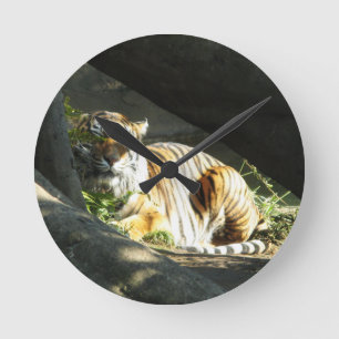 Tiger Catnap Rund Klocka