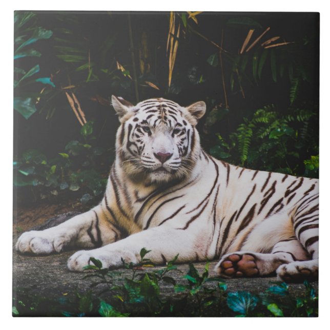 Tiger Ceramic Tile Kakelplatta (Framsidan)