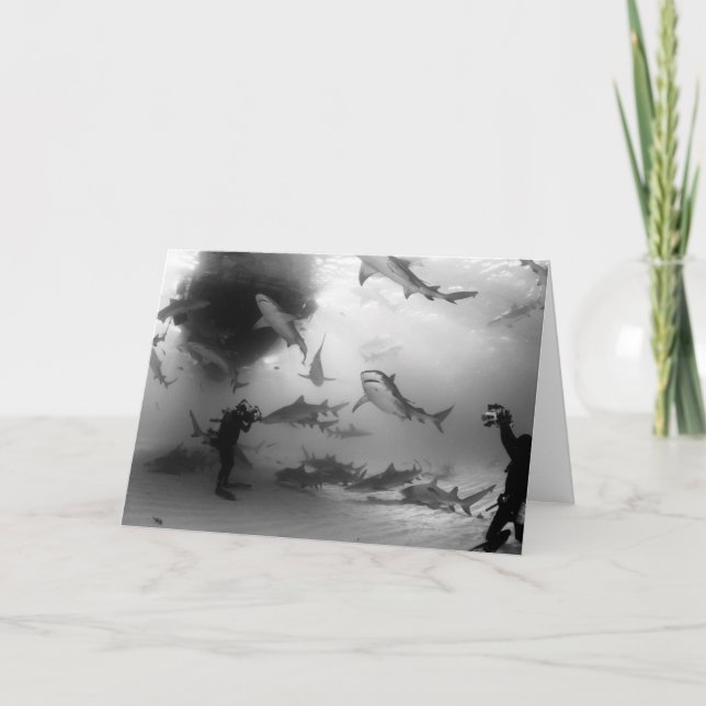 Tiger- & citronhajnotecard kort (Framsida)