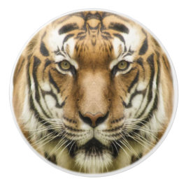 Tiger Close ceramic knobs Knopp