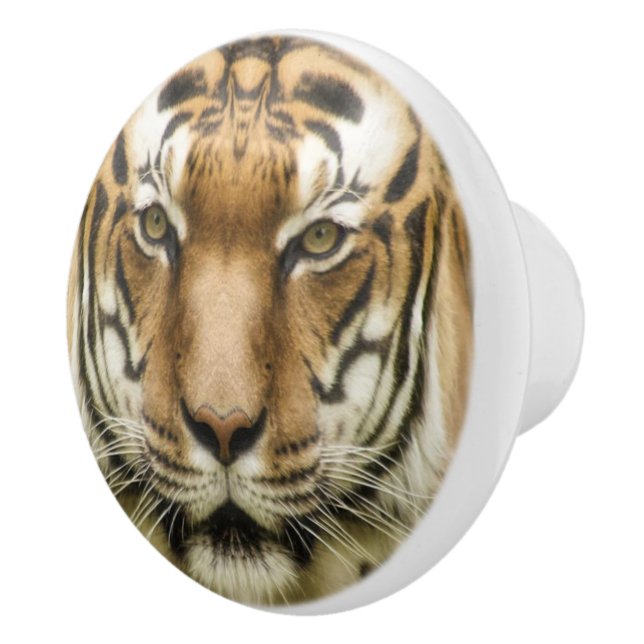 Tiger Close ceramic knobs Knopp (Höger)