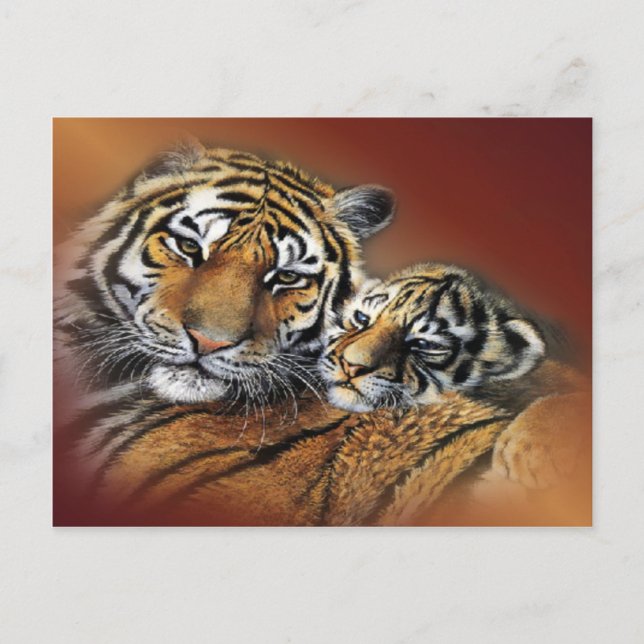 Tiger & Cub vykort (Framsida)