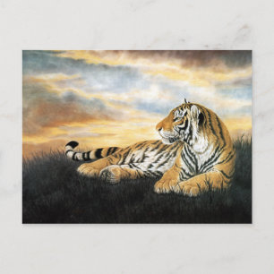 Tiger Dawn Vykort