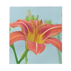 Tiger Daylily Anteckningsblock