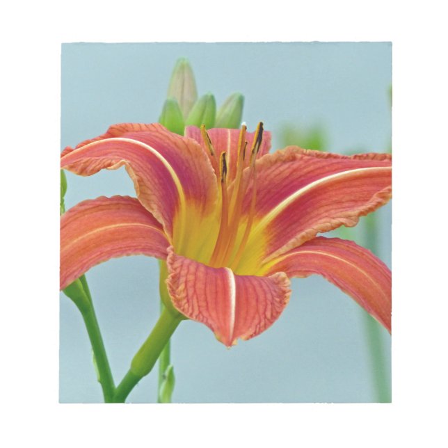 Tiger Daylily Anteckningsblock (Framsida)