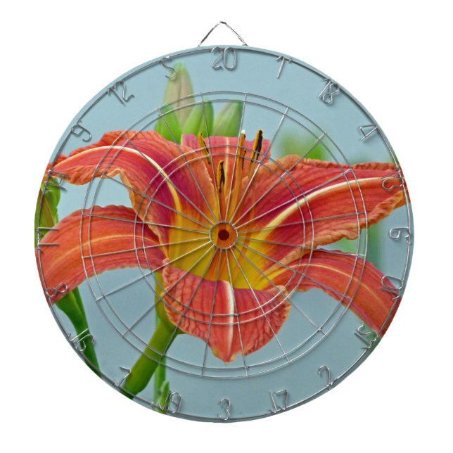 Tiger Daylily Piltavla (Framsidan)