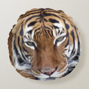 Tiger Dekorativ kudde