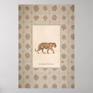 Tiger Djur Illustration Affisch Gående Tiger Konst