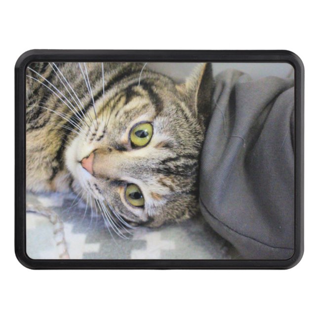 Tiger Dragkroksskydd (Framsidan)