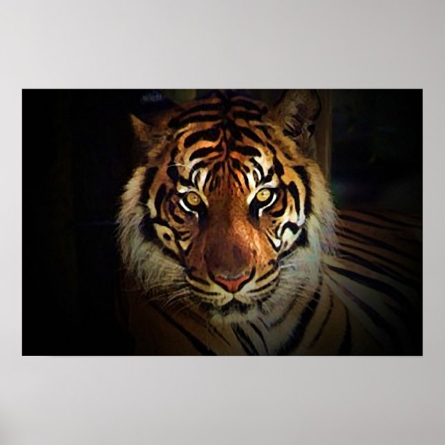 Tiger Eyes Affisch - Vilda Djur Affischer (Framsidan)