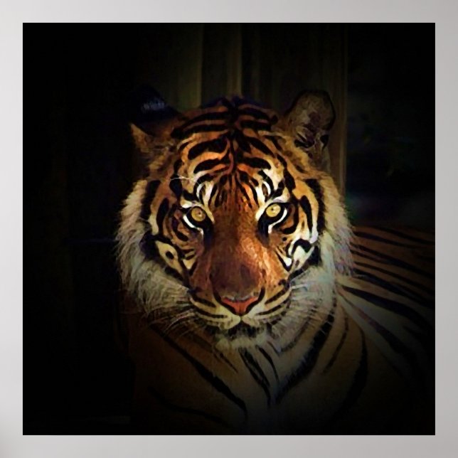 Tiger Eyes Affisch - Vilda Djur Konsttryck (Framsidan)