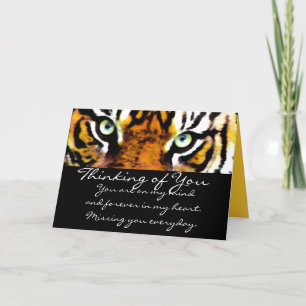 TIGER EYE'S_ KORT