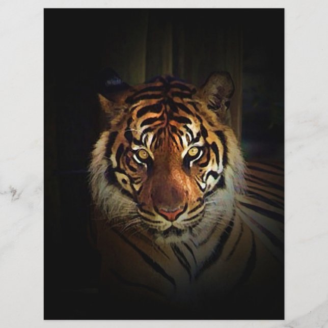 Tiger Flyer (Framsidan)