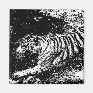 Tiger för svartvitt angrepp magnet