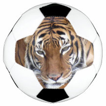 Tiger - Fotboll