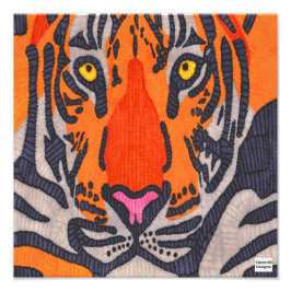 Tiger - Fototryck