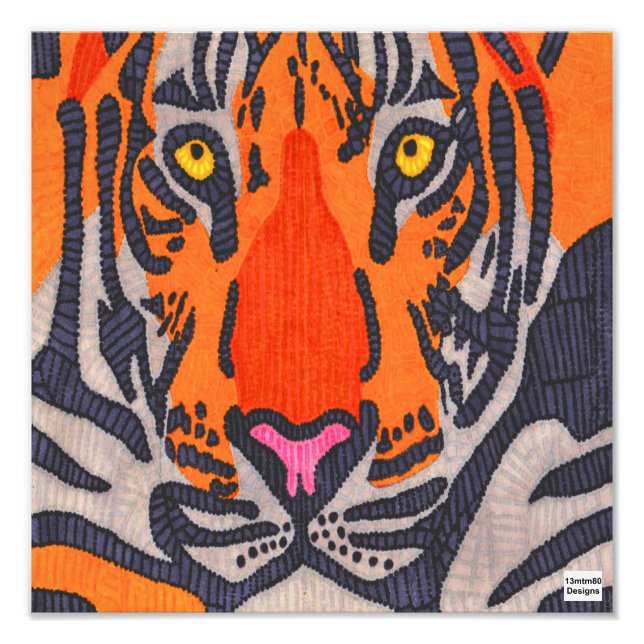 Tiger - Fototryck (Framsidan)