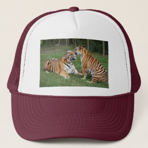 Tiger Friends-007 Keps