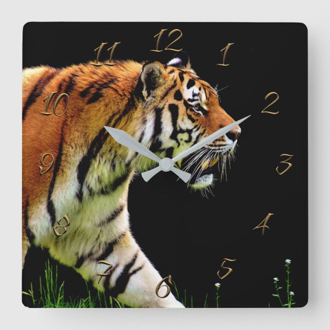 Tiger Fyrkantig Klocka (Framsida)