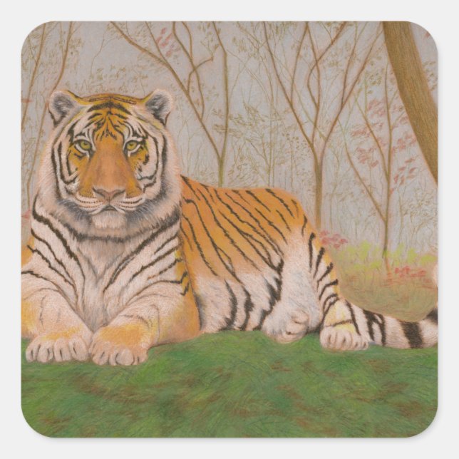 Tiger Fyrkantigt Klistermärke (Framsida)
