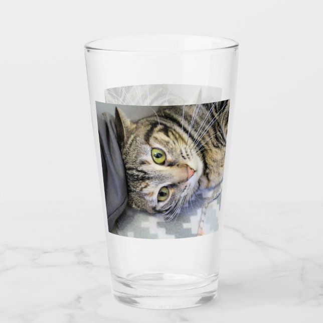 Tiger Glaskopp (Framsida)