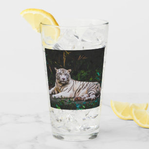 Tiger Glaskopp