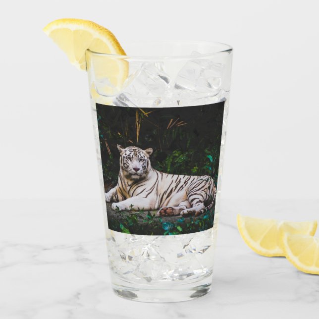 Tiger Glaskopp (Framsida Ice)