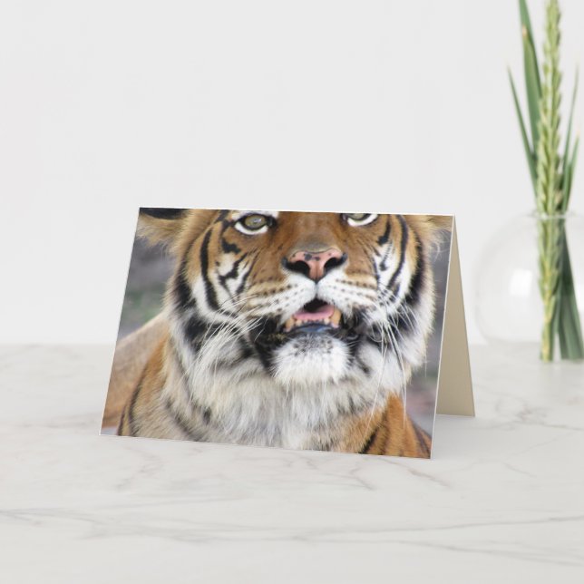Tiger Greeting Card Kort (Framsida)