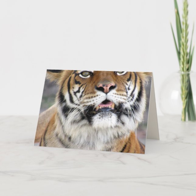 Tiger Greeting Card Kort (Framsida)