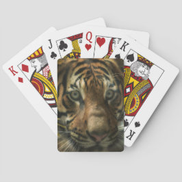 TIGER GROUND ZERO CASINOKORT