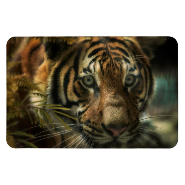 TIGER GROUND ZERO MAGNET (Horisontell)