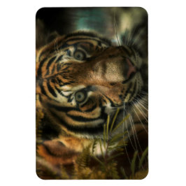 TIGER GROUND ZERO MAGNET