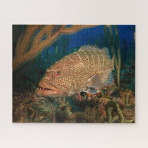 Tiger Grouper Underwater Jigszle Puzzle