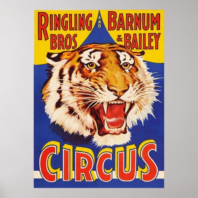 TIGER Growl Circus Ringling Bros Circus Anima Poster (Framsidan)