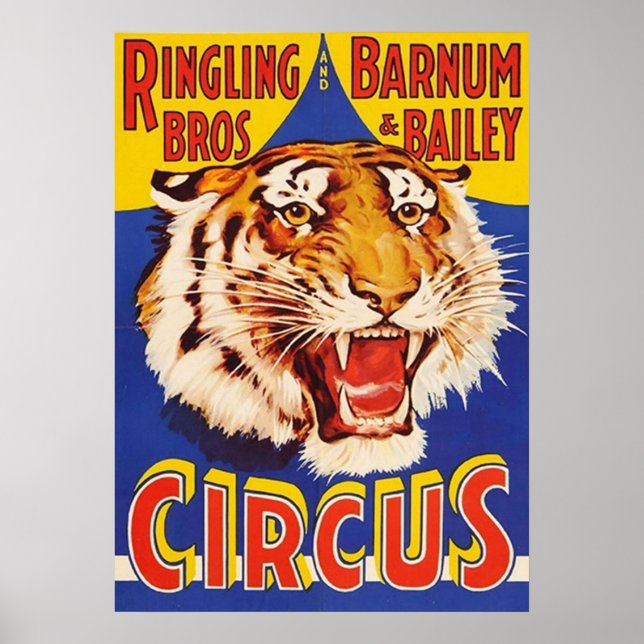 TIGER Growl Circus Ringling Bros Circus Animal Vin Poster (Framsidan)