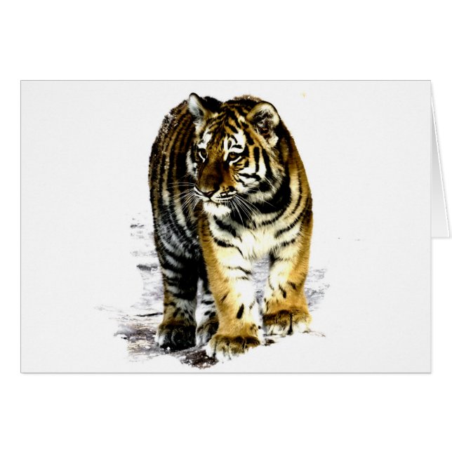 Tiger Hälsningskort (Framsidan Horizontal)