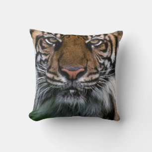 Tiger Head och Ansikte Kudde