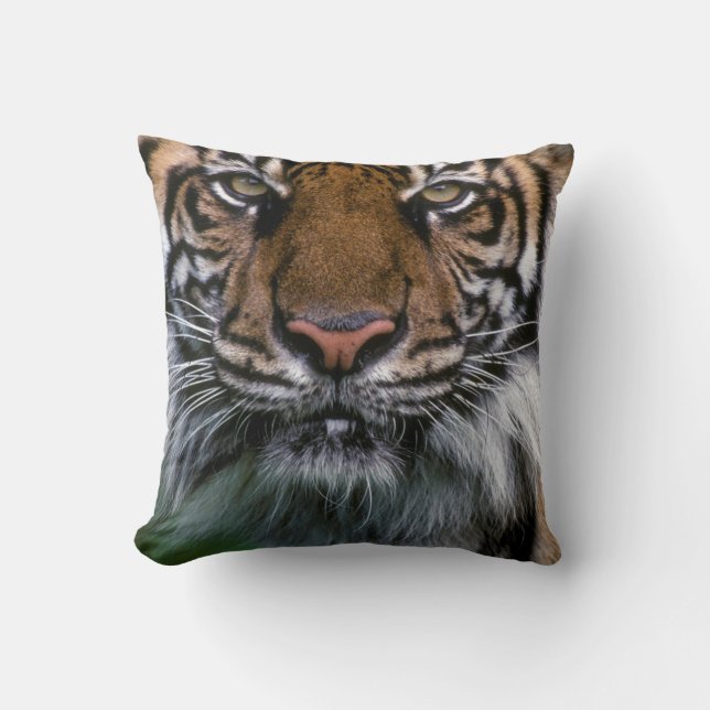 Tiger Head och Ansikte Kudde (Framsida)